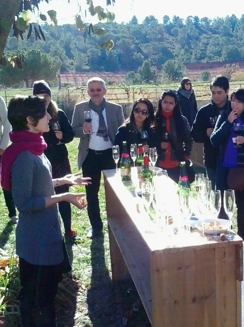 People listening in vineyard