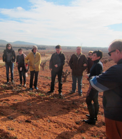 Explanations on wine making in the vineyards of Utiel